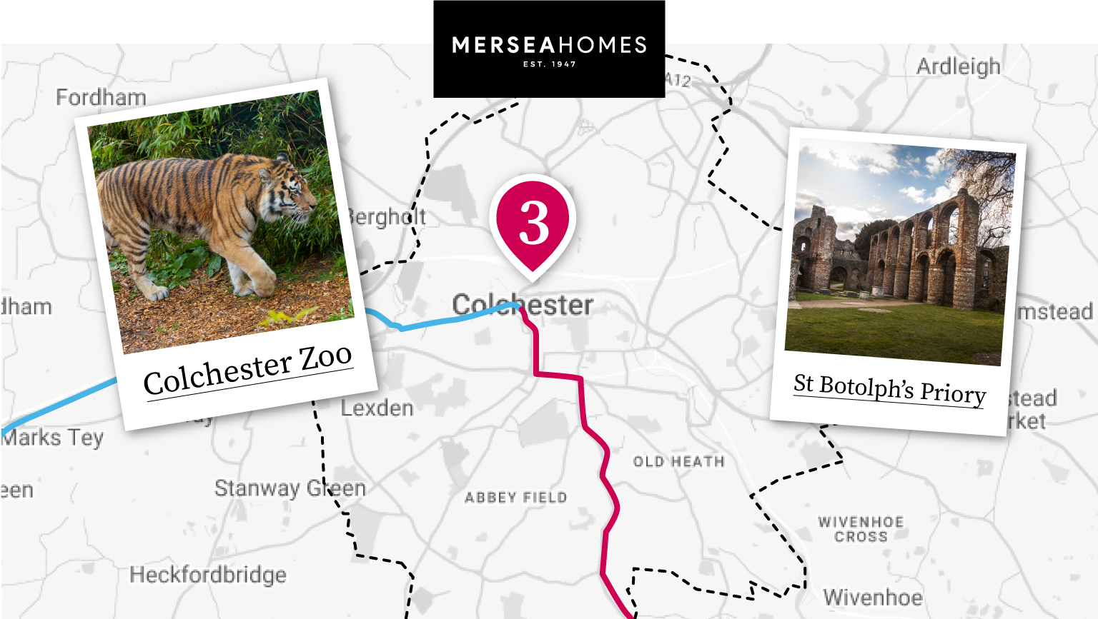 Visiting Colchester Zoo and local ancient ruins: A day out in Essex