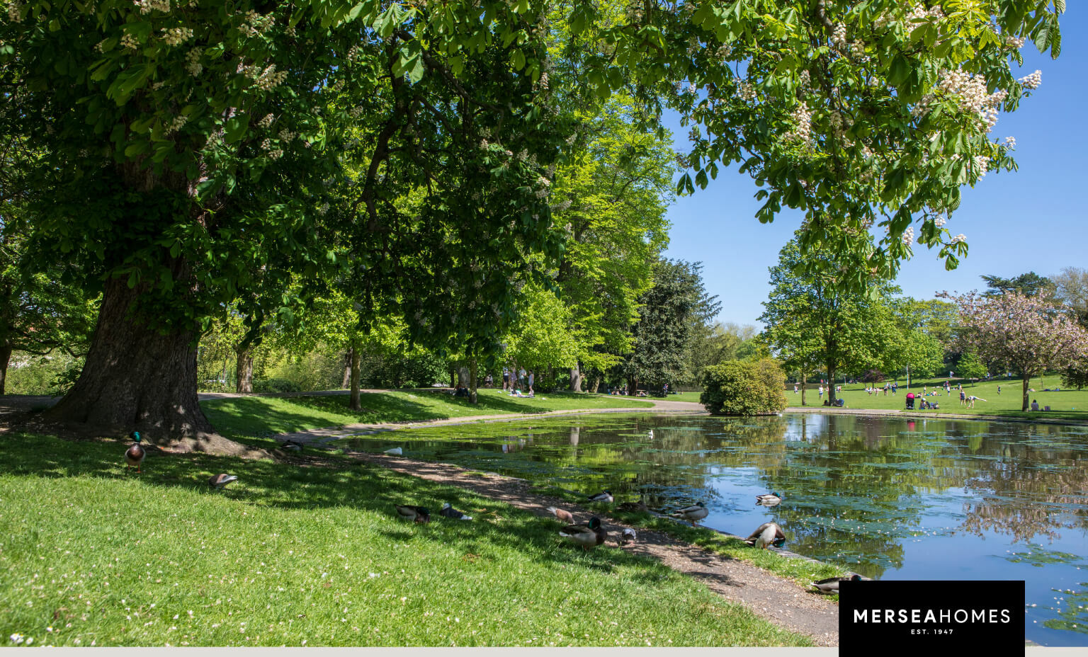 Stunning natural landscapes: Reasons to live in Colchester, Essex