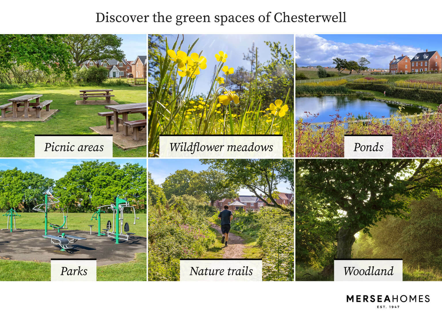 Image showing outdoor spaces of our communities - with ponds, picnic areas, wildlife meadows, woodlands, parks and trails
