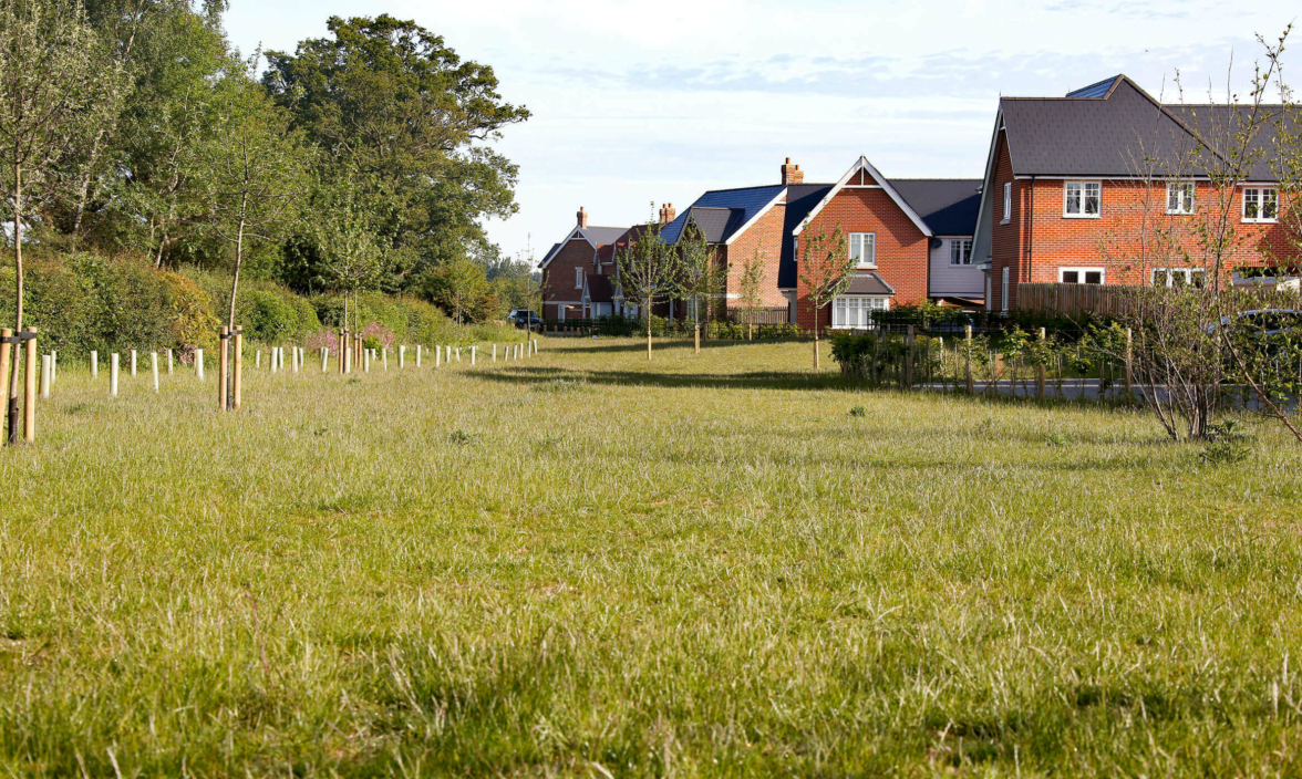 A taste of the green, open spaces throughout Chesterwell