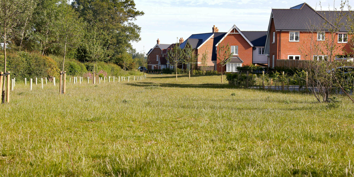 A taste of the green, open spaces throughout Chesterwell