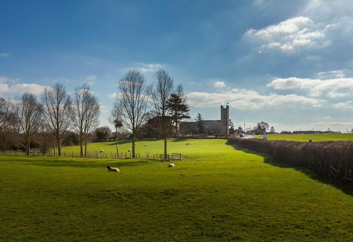 The lush, green countryside of Braintree - Living in Essex Lifestyle