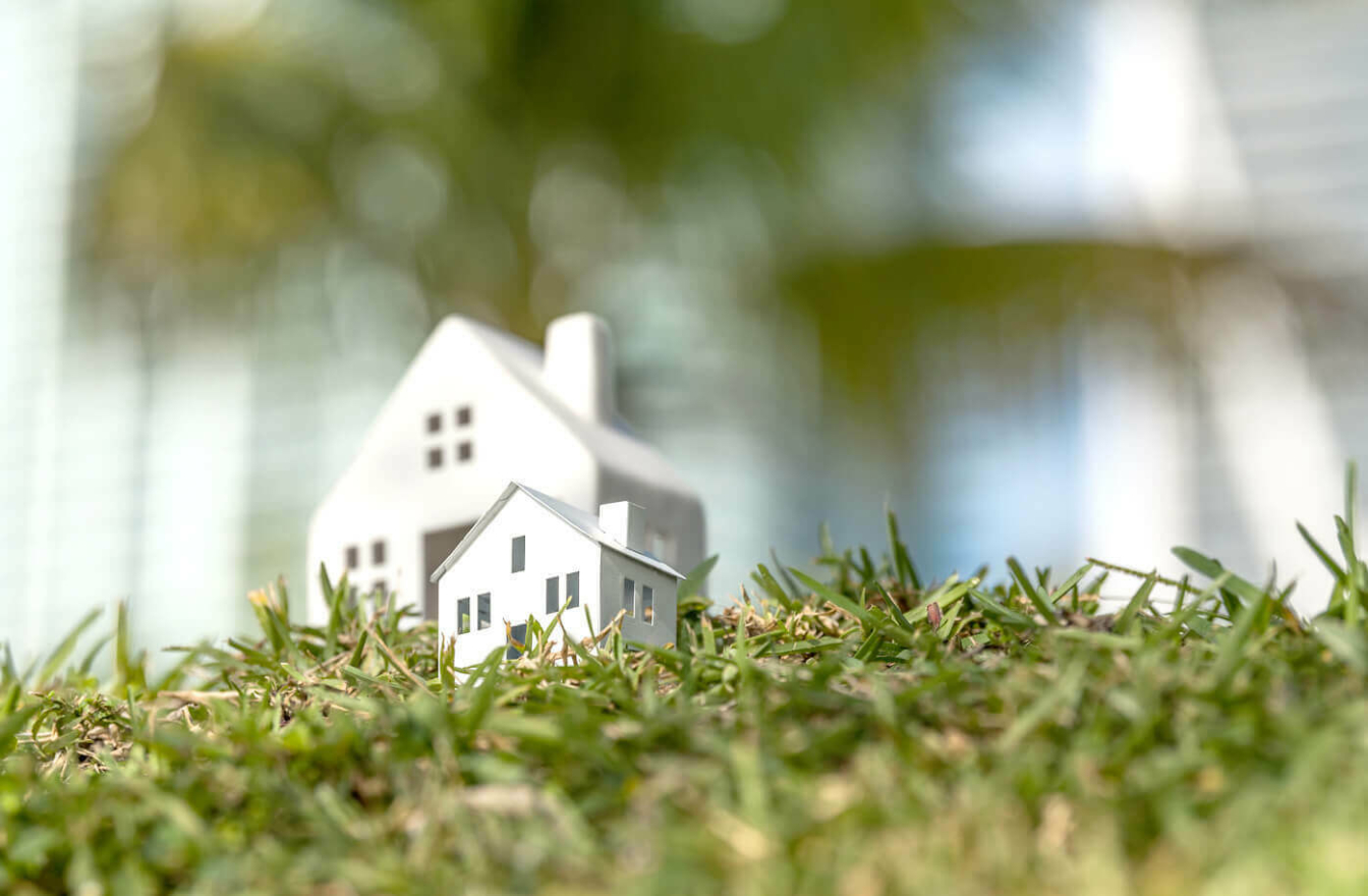 Model house in fields