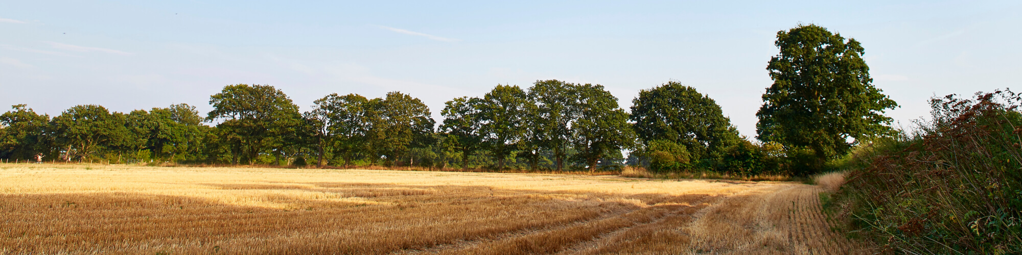 Landowners letterbox