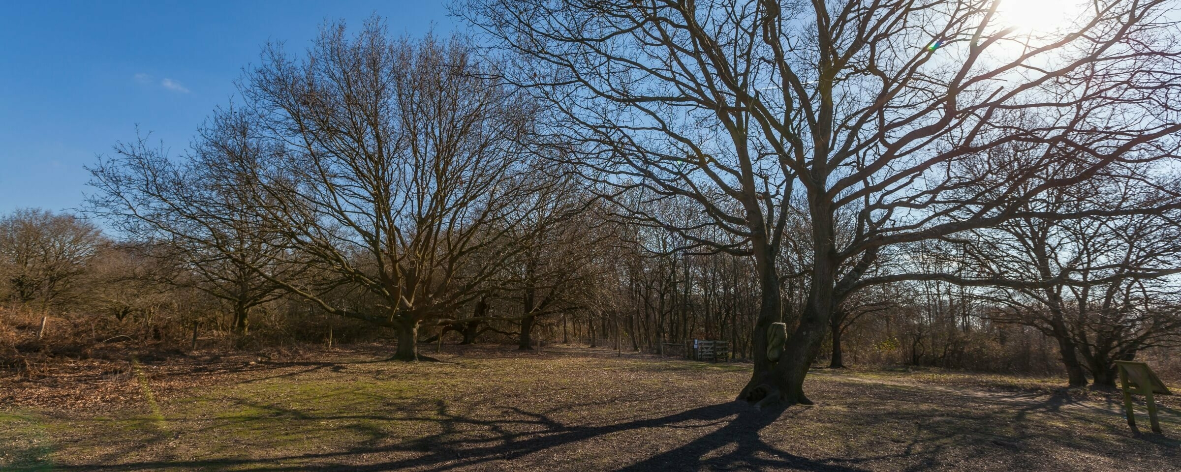 Tiptree heath - Living in Essex Lifestyle