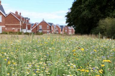 Chesterwell plot67 gallery 08