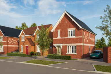 Plot 5 Larkspur