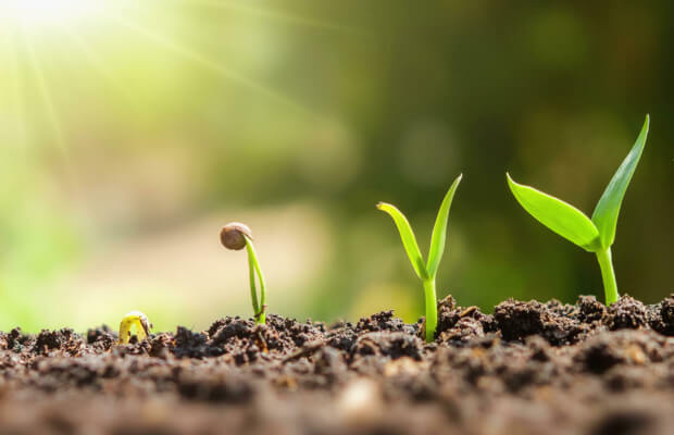 Growing steps