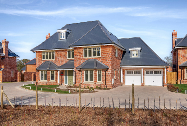 The Steller Heritage
