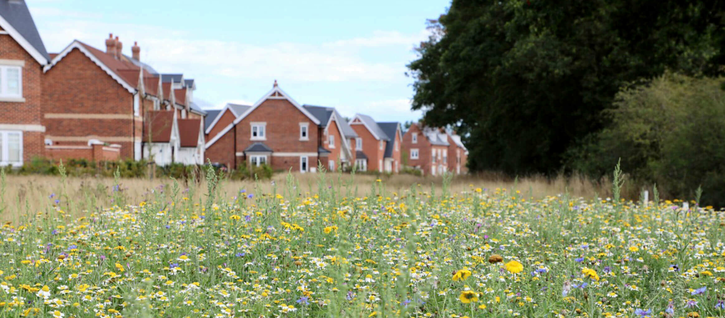 New builds development built in stunning community settings